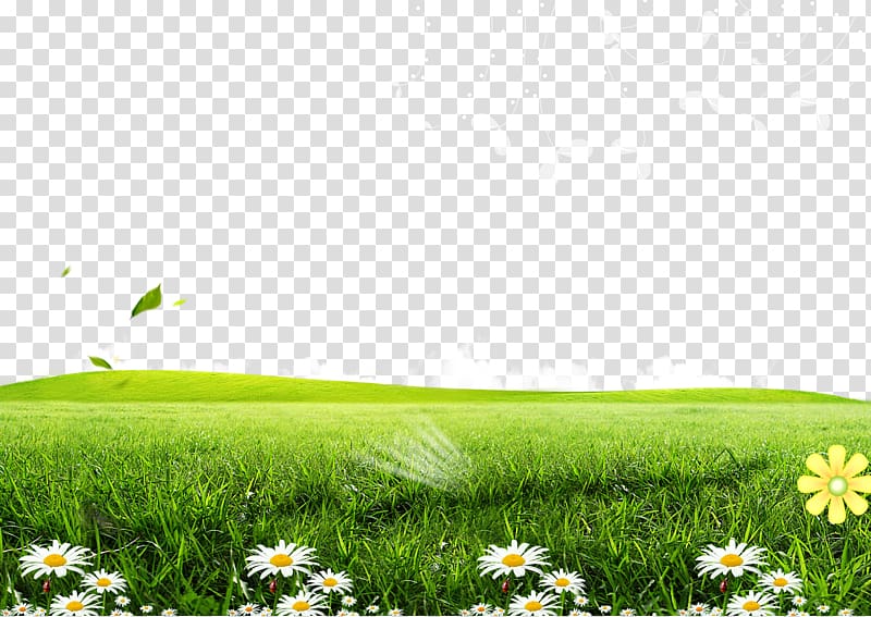 green grass field, Green Lawn Poster , Posters flowers grass background transparent background PNG clipart