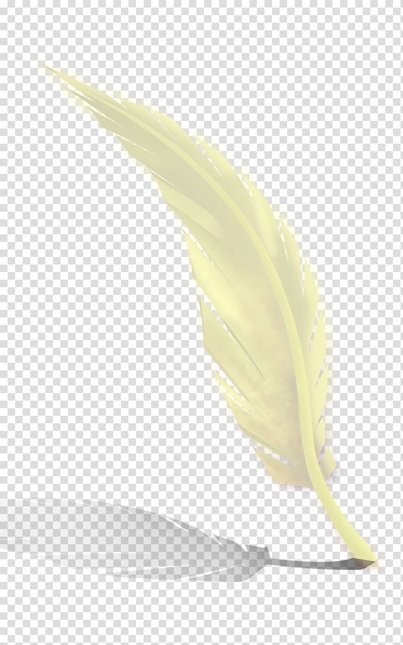 Yellow Feather Material, White feathers transparent background PNG clipart