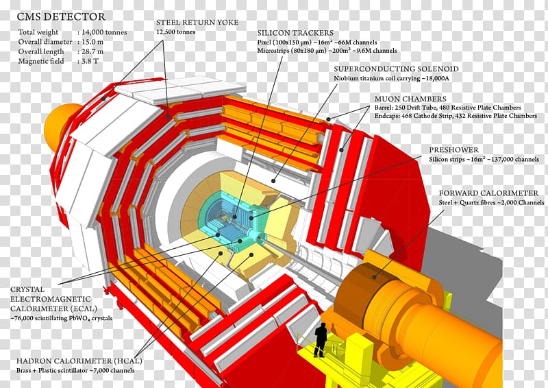 Compact Muon Solenoid CERN ATLAS experiment Large Hadron Collider Higgs boson, web layout transparent background PNG clipart