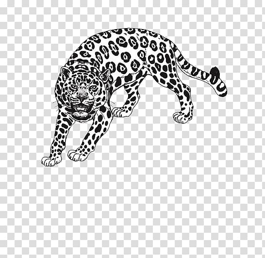Amazon rainforest Draw Anything : Pencil Drawings Step by Step: Pencil Drawing Ideas for Absolute Beginners Coloring book, Black leopard transparent background PNG clipart