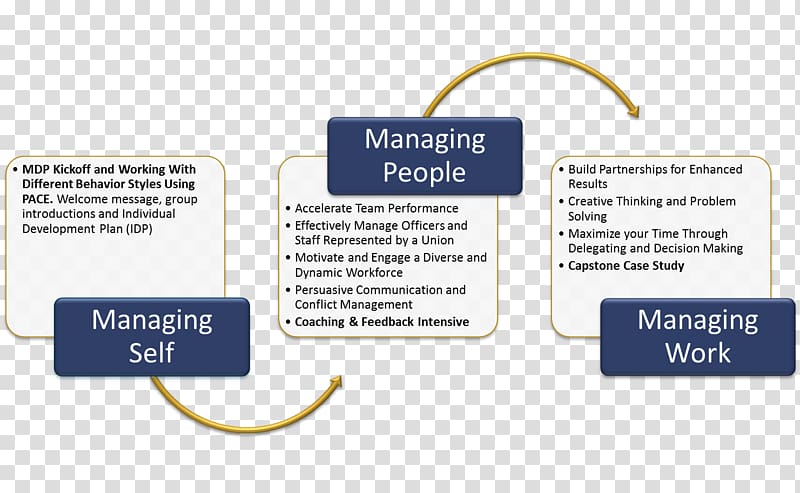 Management development Human resource management Human Resources Training, self-awareness transparent background PNG clipart