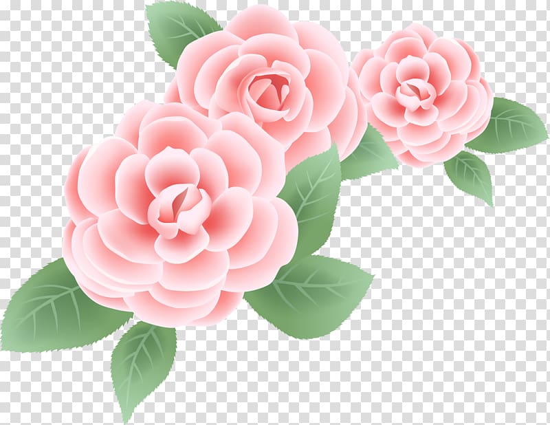 Peony Rose Flower , Mary transparent background PNG clipart