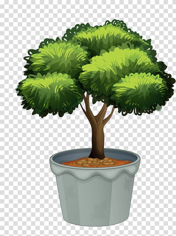 Houseplant , potted plant transparent background PNG clipart