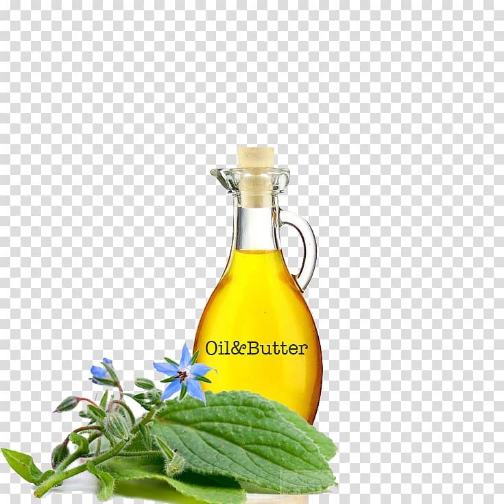 Soybean oil Borage seed oil Herb gamma-Linolenic acid, oil transparent background PNG clipart