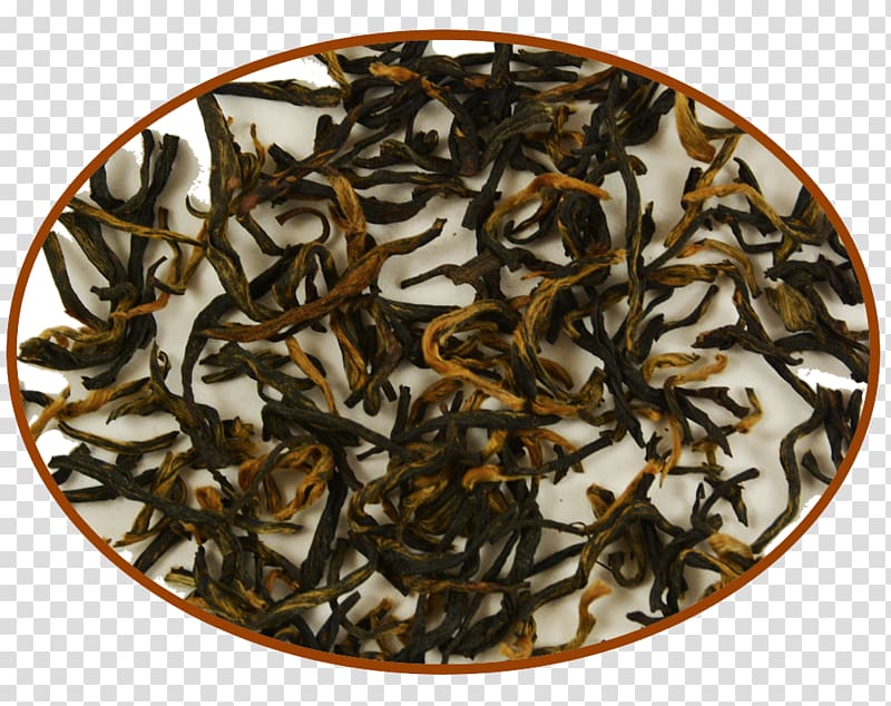 Oolong Nilgiri tea Dianhong Assam tea, tea transparent background PNG clipart