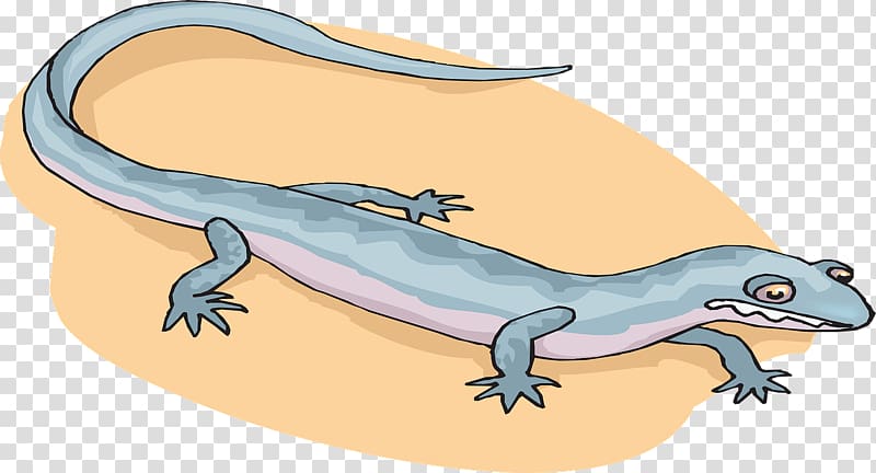 Salamander Cartoon Newt , salamander transparent background PNG clipart