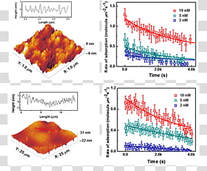 Line Point Diagram Organism, line transparent background PNG clipart thumbnail