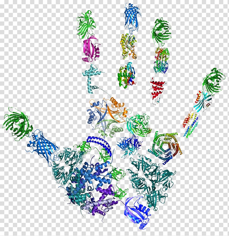 Tandem mass spectrometry Proteomics Peptide mass fingerprinting, teaching transparent background PNG clipart