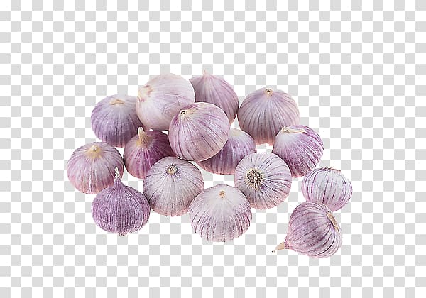 Solo garlic Taobao Price Catty JD.com, onion transparent background PNG clipart