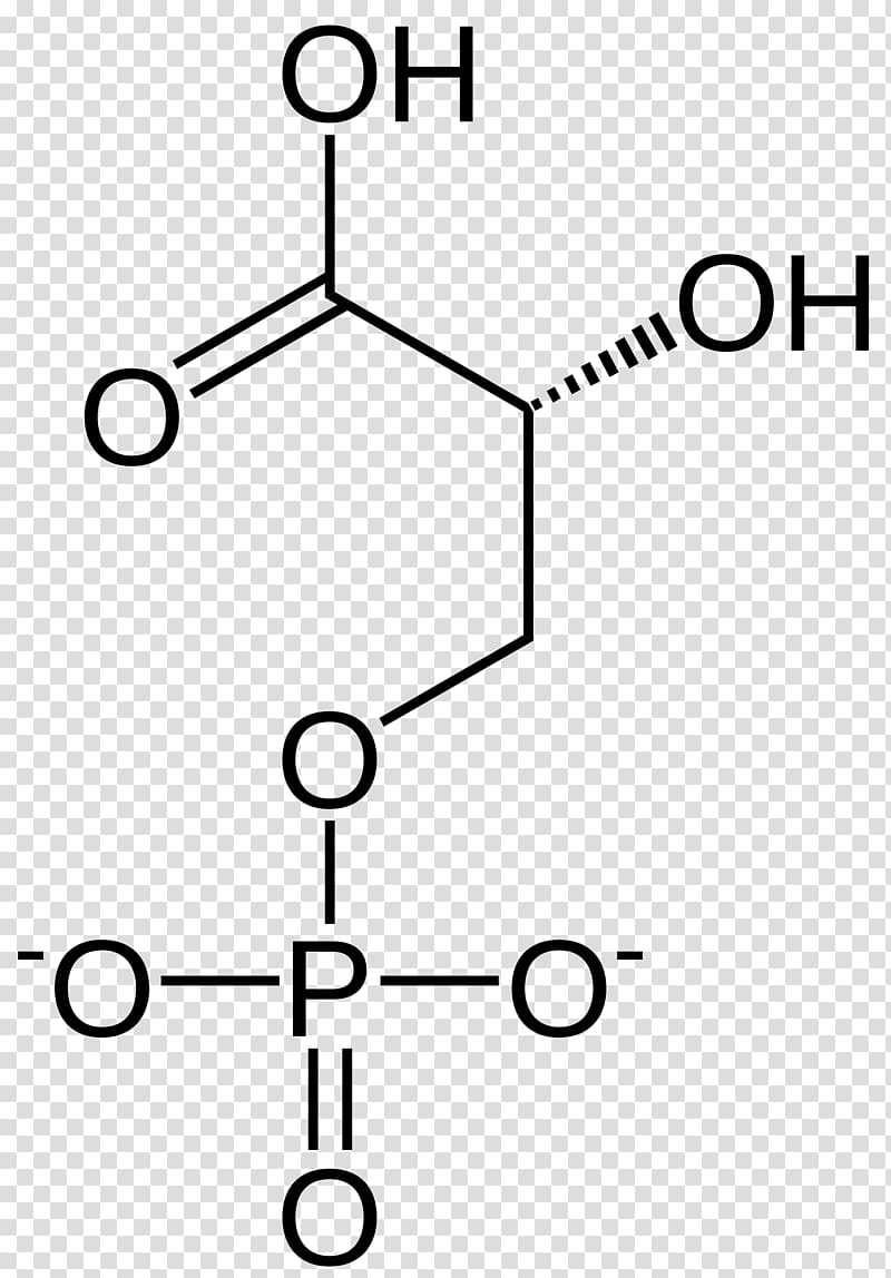 1,3-Bisphosphoglyceric acid 3-Phosphoglyceric acid Glyceraldehyde 3-phosphate 2,3-Bisphosphoglyceric acid, others transparent background PNG clipart