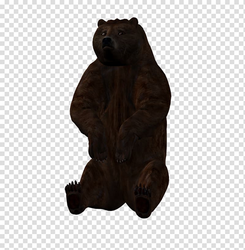 Grizzly bear DAS Productions Inc 4 January , bear transparent background PNG clipart