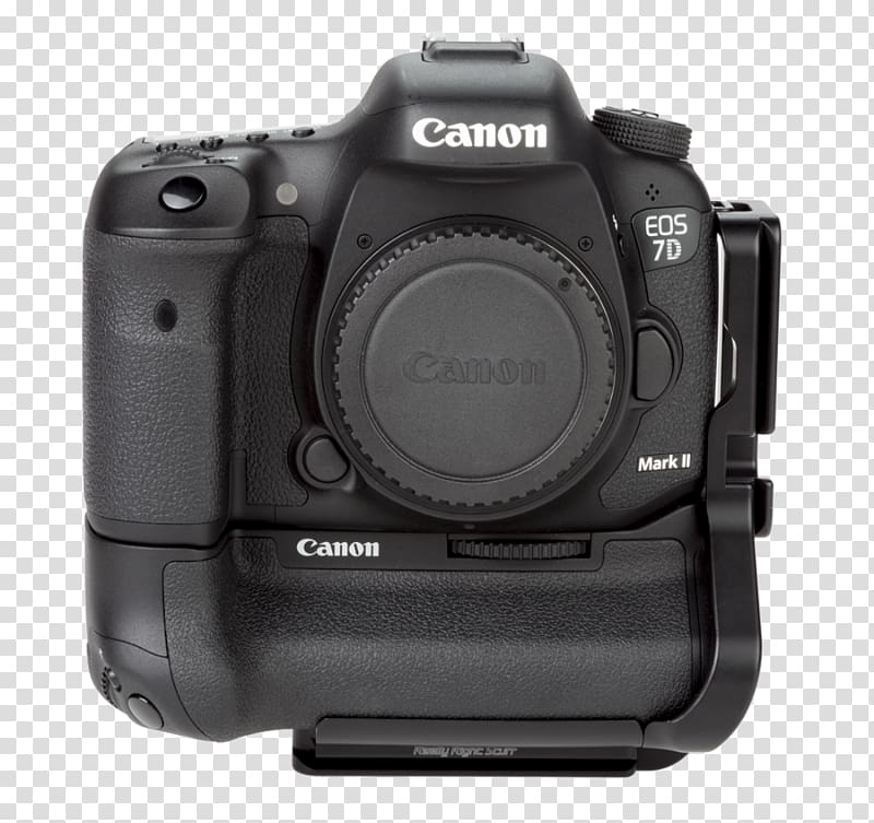 Canon EOS 7D Mark II Canon EOS 80D Canon EOS 5D Mark IV Camera, dovetail transparent background PNG clipart