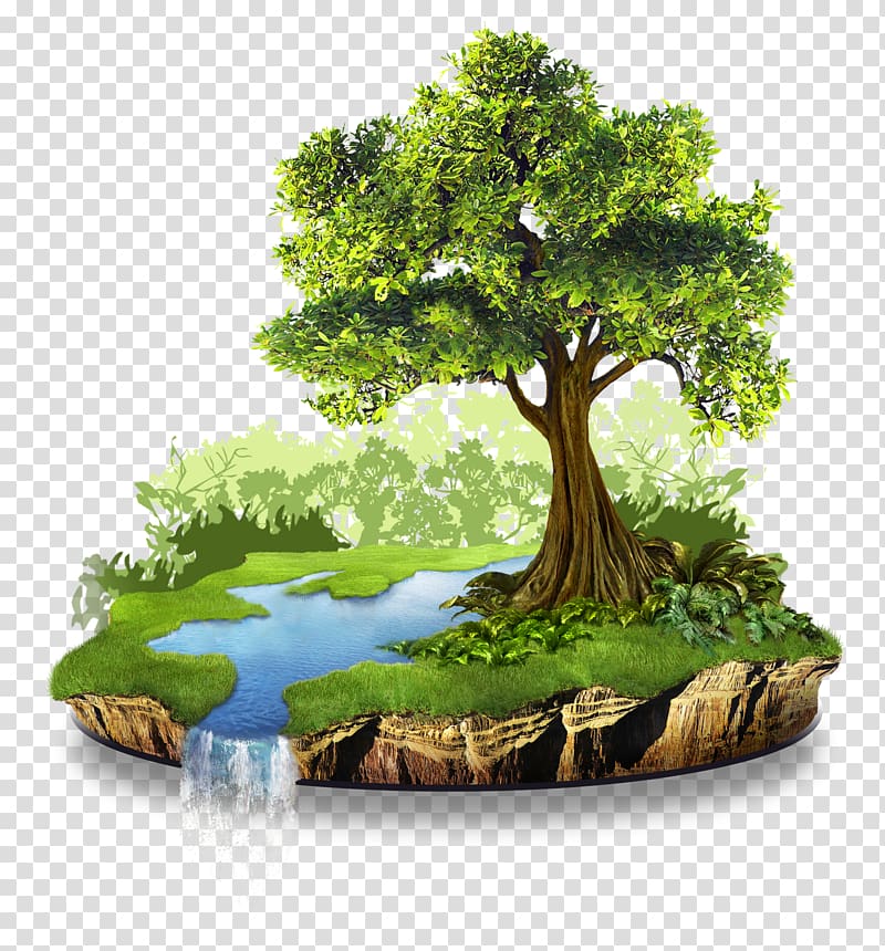 green tree illustration, Natural resource Conservation Nature Natural environment, nature transparent background PNG clipart