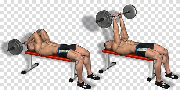 Weight training Barbell Bench press Triceps brachii muscle Lying triceps extensions, workout exercises transparent background PNG clipart
