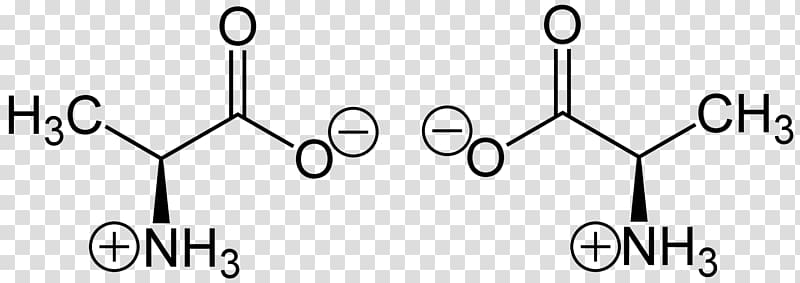 Alanine Zwitterion Amino acid Amine Cysteine, amino acid transparent background PNG clipart