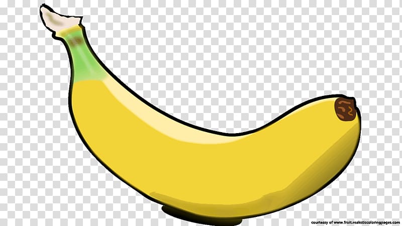 Banana peel , banana tree transparent background PNG clipart