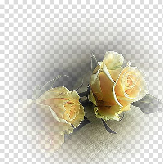 Our Lady of Fátima Death Love Desktop , flowers and birds transparent background PNG clipart