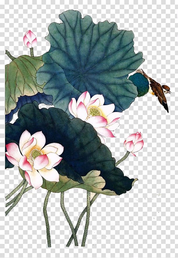 China Nelumbo nucifera Flower Watercolor painting, Ink lotus transparent background PNG clipart