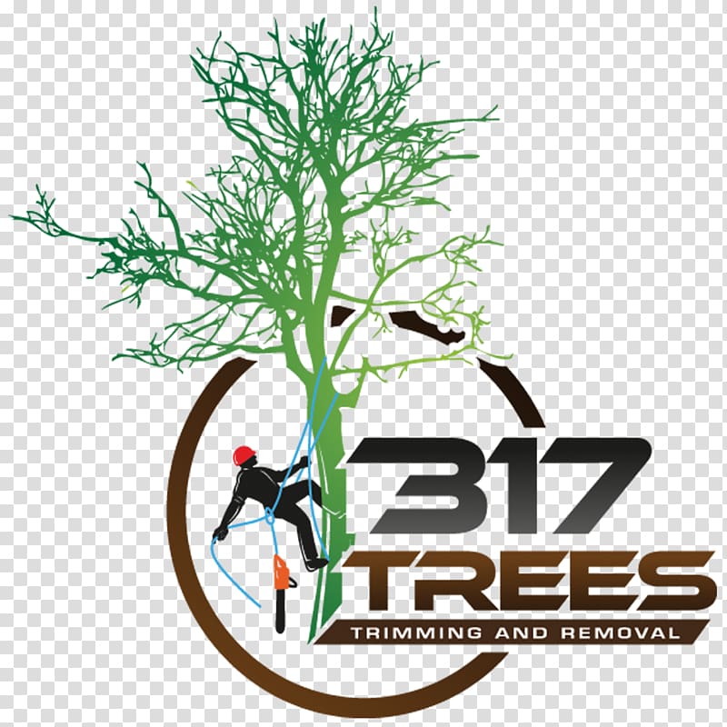 Branch 317 Trees Crane Pruning, tree transparent background PNG clipart