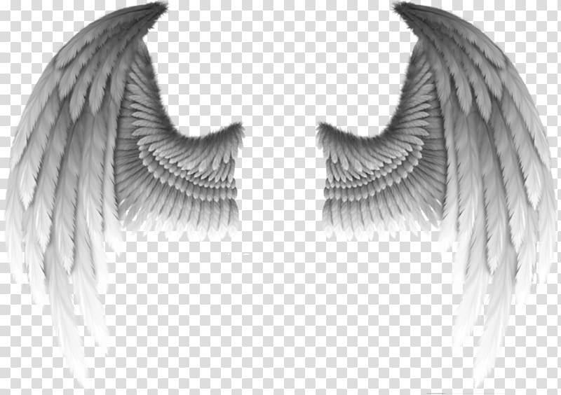 white wings illustraton, Fallen angel Devil Wing Demon, Devil\'s wings transparent background PNG clipart