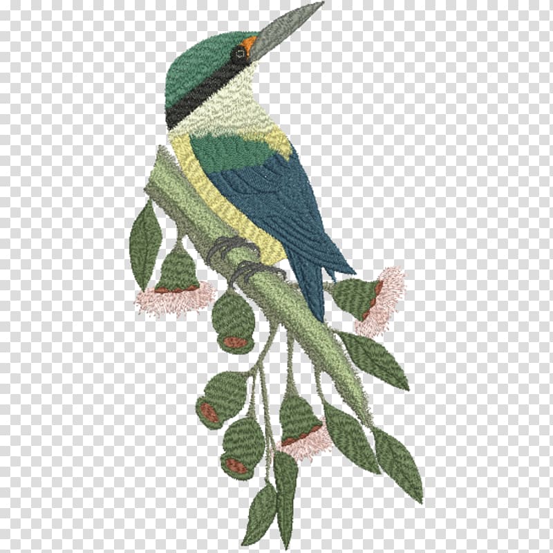 Beak Sacred kingfisher Bird Forest kingfisher, Bird transparent background PNG clipart
