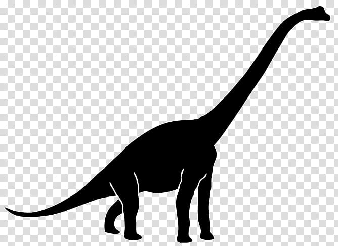 Diplodocus Tyrannosaurus Brachiosaurus Apatosaurus Dinosaur, dinosaur transparent background PNG clipart
