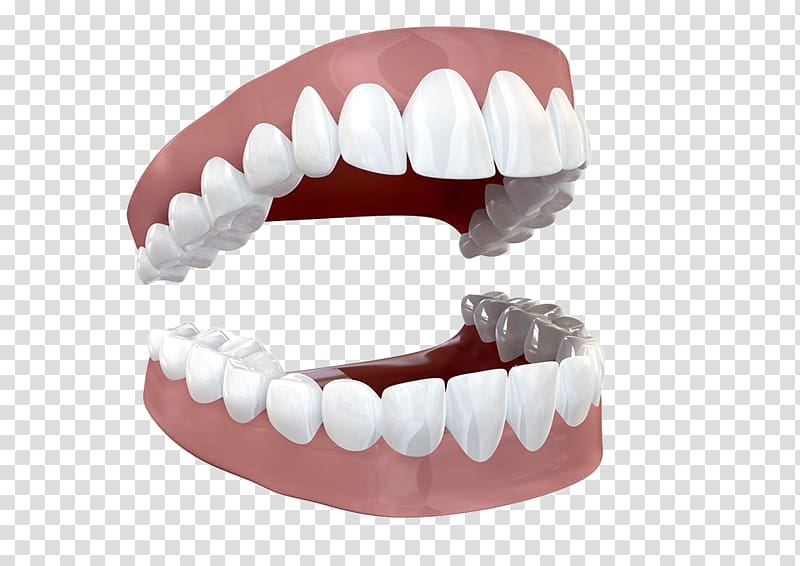 Human tooth , Open teeth transparent background PNG clipart