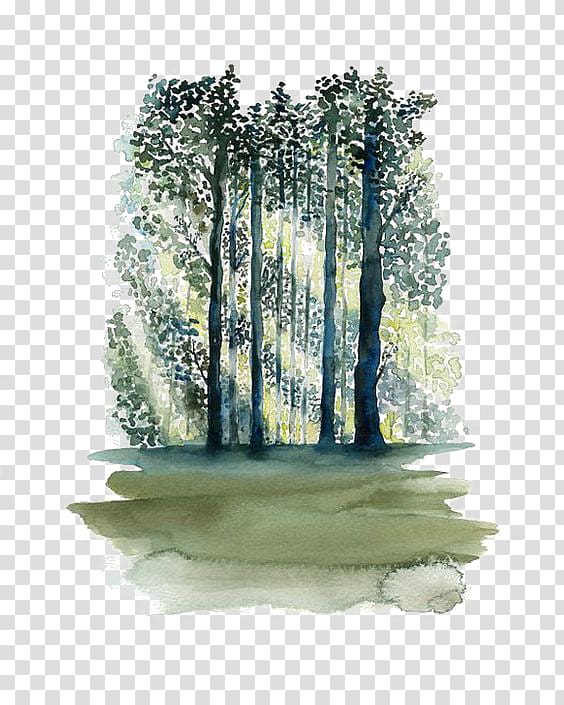 green forest tree , Watercolor painting Paper Tree Forest, forest transparent background PNG clipart