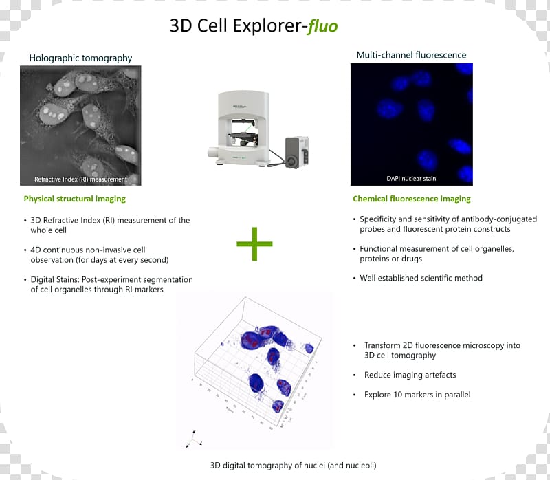 Fluorescence microscope Cell nucleus Microscopy, microscope transparent background PNG clipart