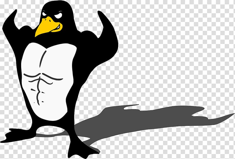 Penguin Bird Muscle Biceps , penguins transparent background PNG clipart