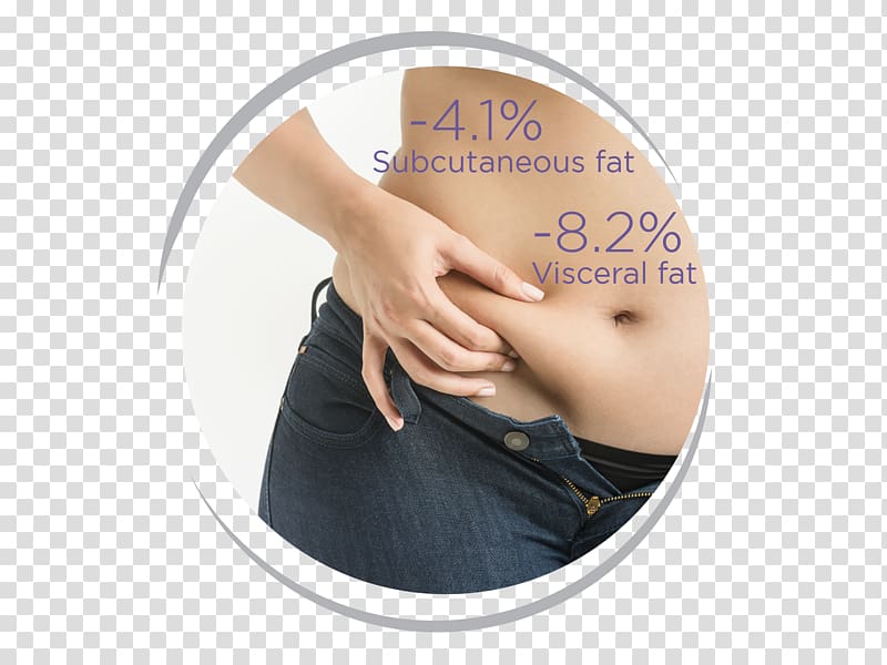 Dubai Health Authority Obesity Overweight Weight gain, health transparent background PNG clipart