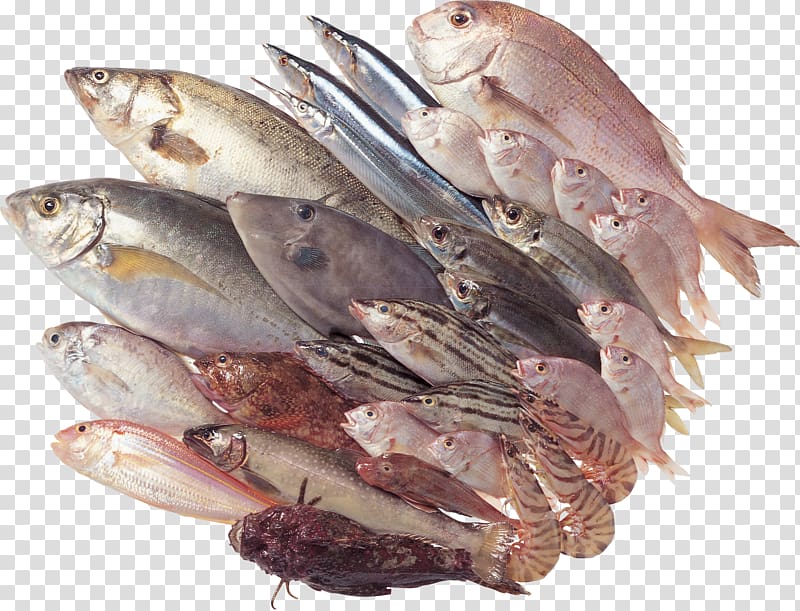 variety of seafoods, Seafood Fish as food Stuffing, Fish transparent background PNG clipart