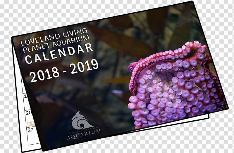 Display advertising Brand, Loveland Living Planet Aquarium transparent background PNG clipart