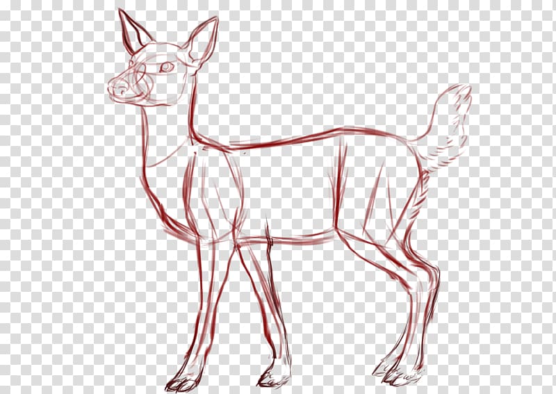 White-tailed deer Drawing Sketch, deer transparent background PNG clipart