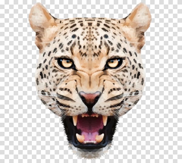 Leopard Jaguar Felidae Tiger, Angry leopard head transparent background PNG clipart