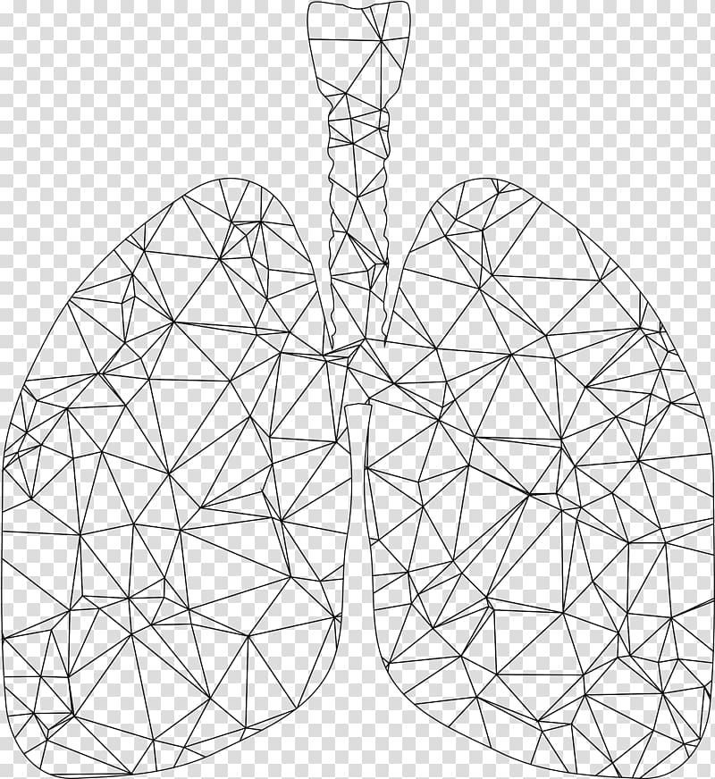 Lung Triangle Polygon, lungs transparent background PNG clipart