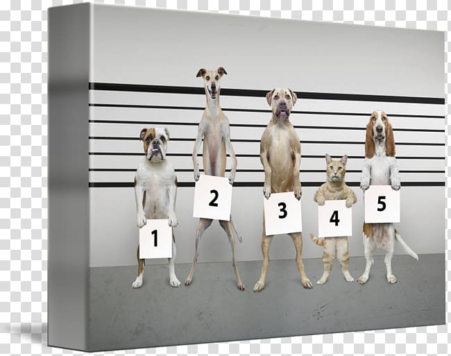 Cat Dog Police lineup Pet, Police dog transparent background PNG clipart