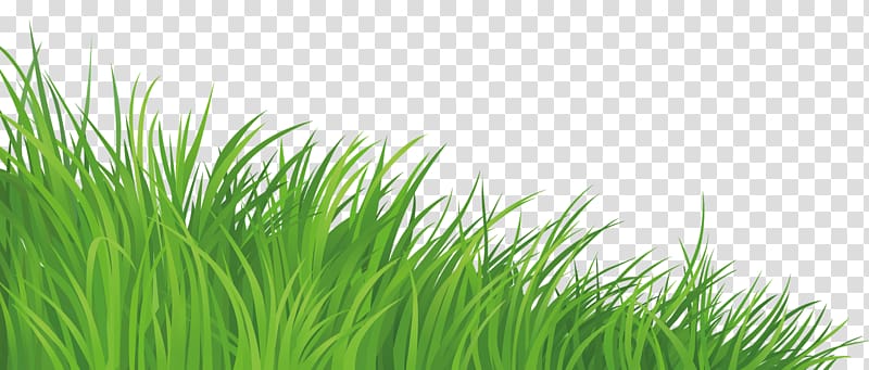 Open Desktop Lawn Free content, wellcome transparent background PNG clipart