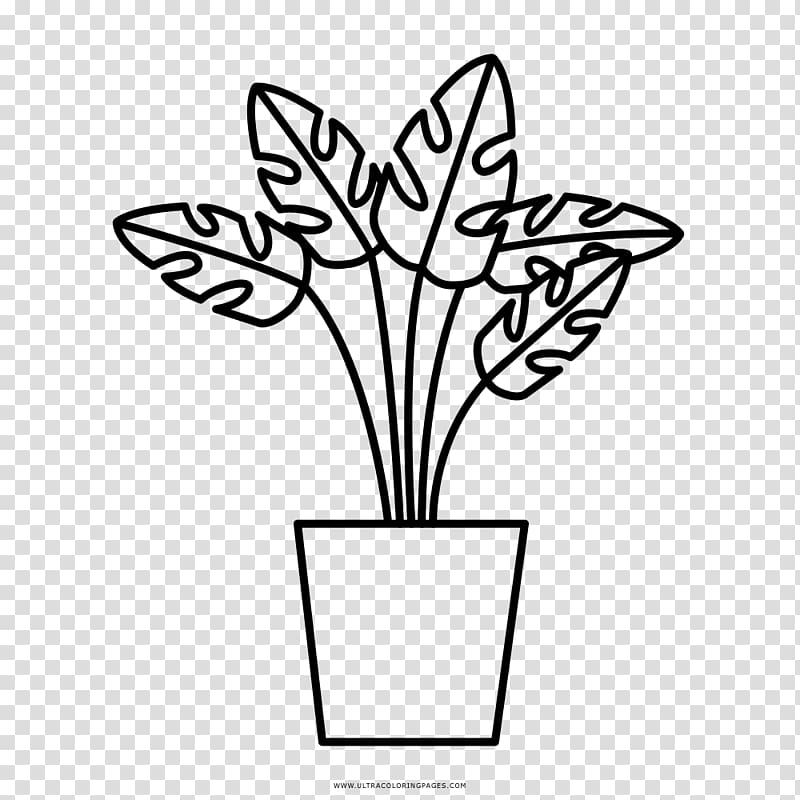 Medicinal plants Drawing Coloring book Leaf, plant transparent background PNG clipart