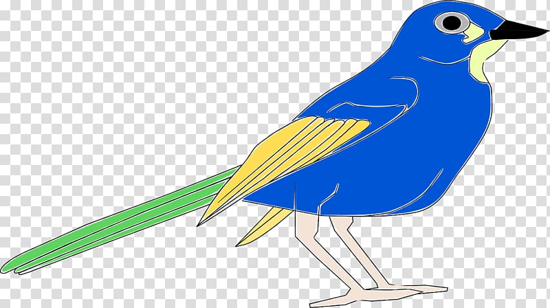 Bird Beak Blue , Bird transparent background PNG clipart