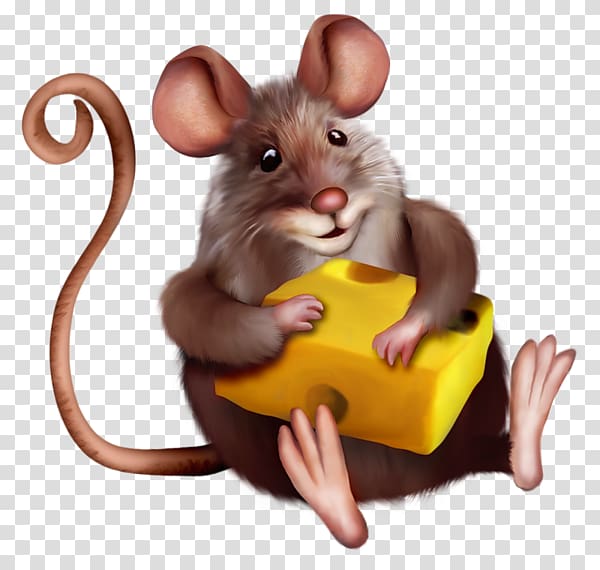 Mouse Macaroni and cheese , Mouse with Cheese Cartoon, mouse carrying cheese transparent background PNG clipart
