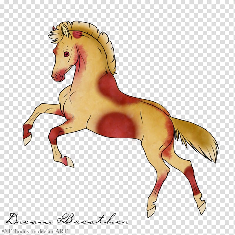 Mustang Stallion Foal Colt Pony, aurora boreal transparent background PNG clipart