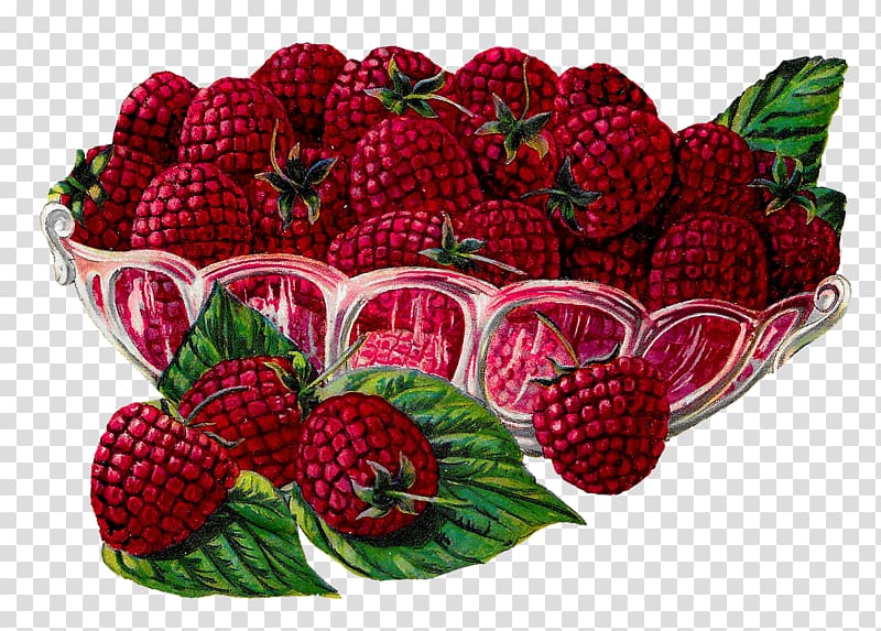 Raspberry Fruit , raspberries transparent background PNG clipart