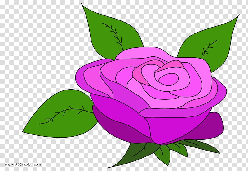 Garden roses Hybrid tea rose Flower , rose transparent background PNG clipart