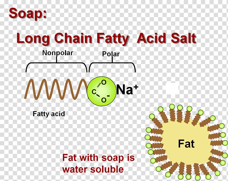 Fatty acid Lipid Salt, salt transparent background PNG clipart