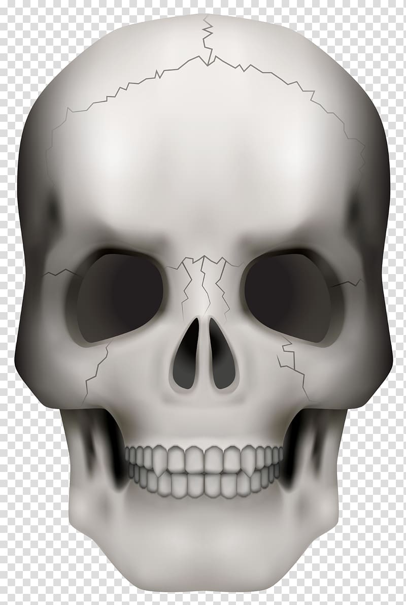 Skull Skeleton , Skull Frame transparent background PNG clipart