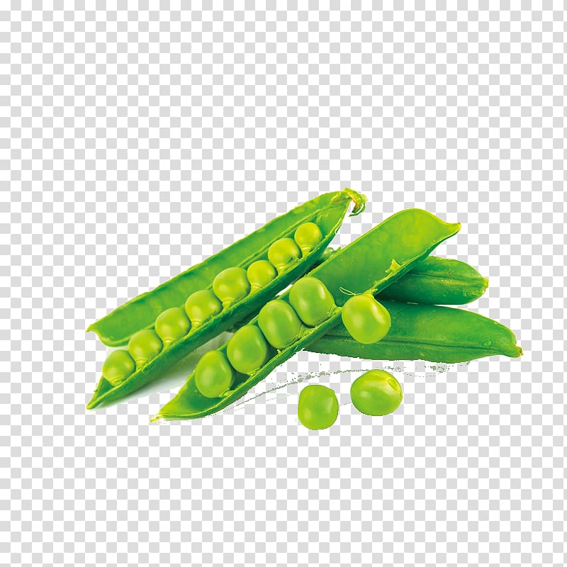Snap pea Protein Bean, pea transparent background PNG clipart
