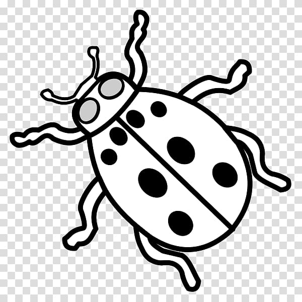 Ladybird beetle Insect Sign Drawing Symbol, insect transparent background PNG clipart