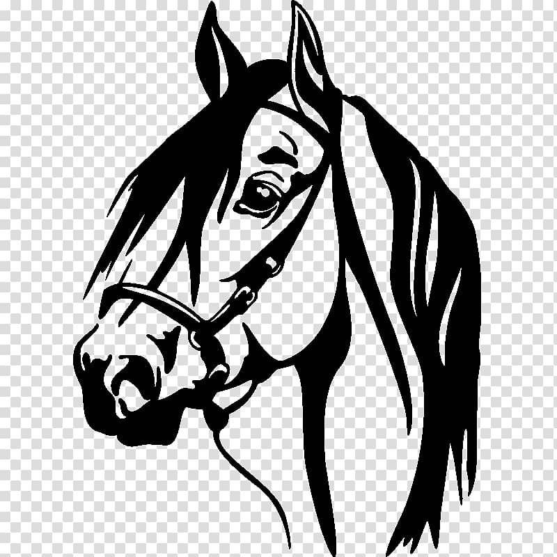 Horse Wall decal Window Sticker, horse transparent background PNG clipart