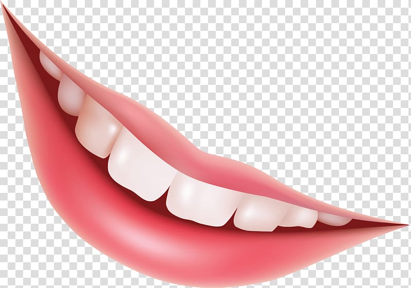 Mouth Lip Euclidean Smile, Lips transparent background PNG clipart